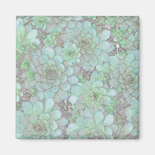 Hönor och Chickar Magnet (Framsidan)