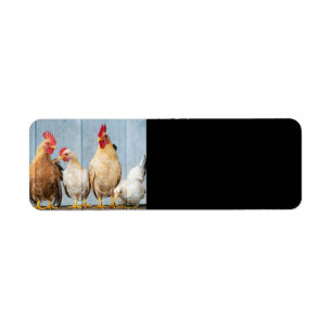 Hönor och Chickar Returadress Etikett