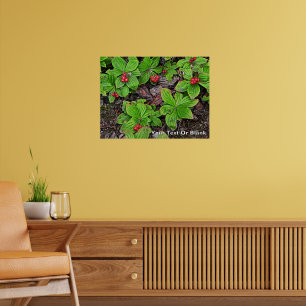 Hönsbär Med Bär Poster