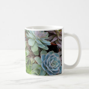 Hönsväxter och chickar kaffemugg