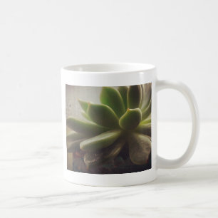 Hönsväxter och Chickar Kaffemugg