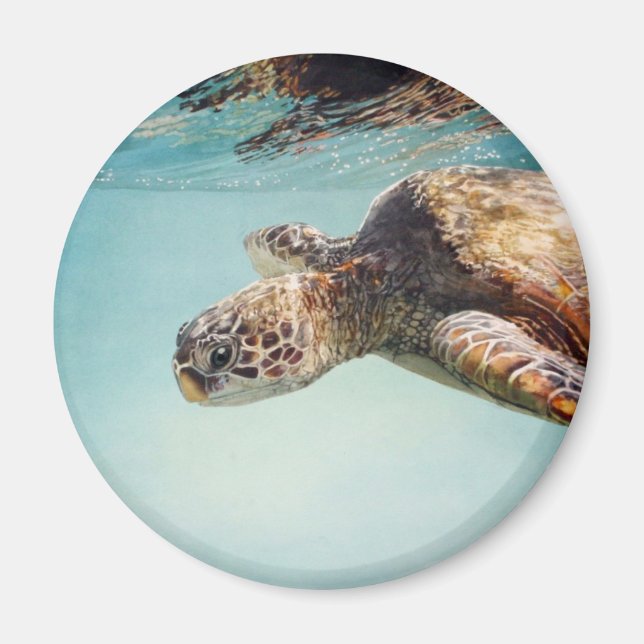 Honu av Marilyn Bära Magnet (Framsidan)
