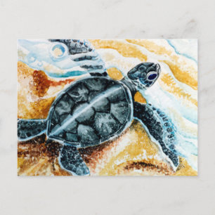 Honu Hatchling (Grönt Sea Turtle) Vykort