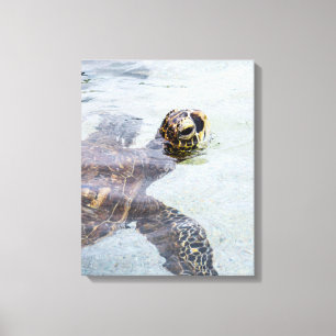 Honu Hawaiian Sea Turtle - Hawaii Turtles Canvastryck