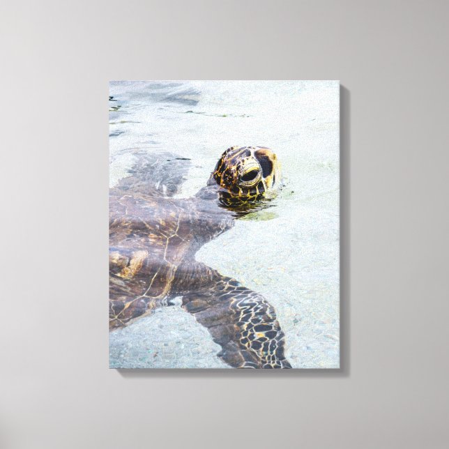 Honu Hawaiian Sea Turtle - Hawaii Turtles Canvastryck (Framsida)
