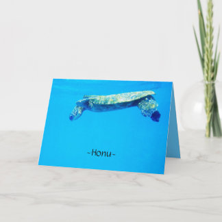 Honu Kort