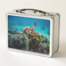 Honu Lunchbox