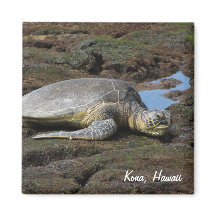 Honu Reston the Warm Sten