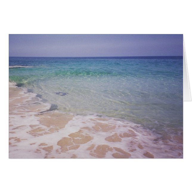 Honu vid La a'Loa Beach Hälsningskort (Framsidan Horizontal)