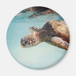 Honu vid Marilyn bära Magnet