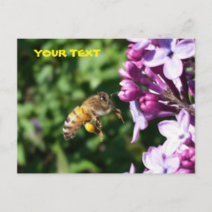 Honung Bee Kärlek Lilac Pollen Vykort