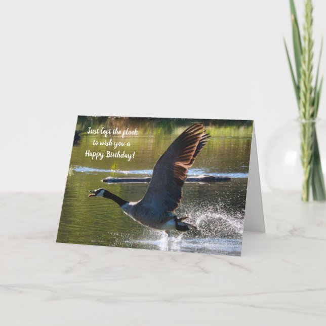 Honung Goose Birthday Card Kort (Framsida)