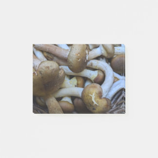 Honung plocka svamp, Apiata, Armillaria, opyenok Post-it Block