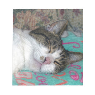 Honung Sleeping Anteckningsblock