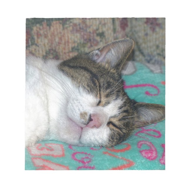 Honung Sleeping Anteckningsblock (Framsida)