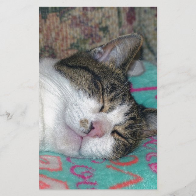 Honung Sleeping Brevpapper (Framsida)