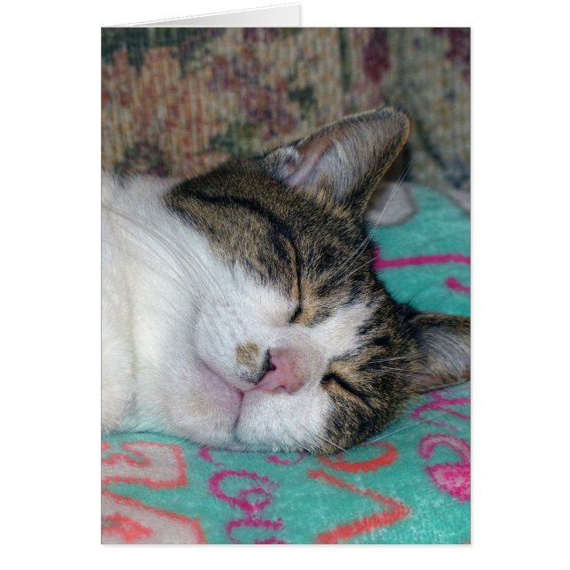 Honung Sleeping Hälsningskort (Framsidan)