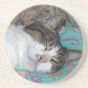 Honung Sleeping Underlägg