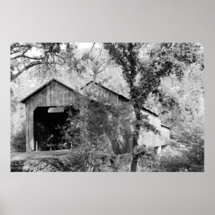 Honung Springa Bridge Poster