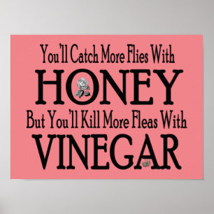 Honung & Vinegar Poster