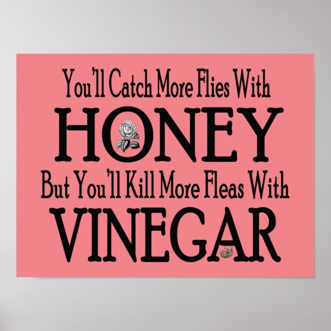Honung & Vinegar Poster (Framsidan)