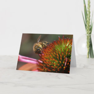 Honungbi på Coneflower hälsningkort Kort