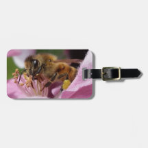 Honungbi på den Crabapple blommar ditt namn