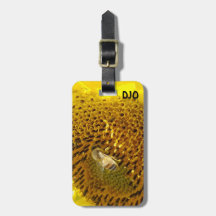 Honungbi på en solros