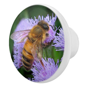 Honungbi på keramisk knopp för Ageratum