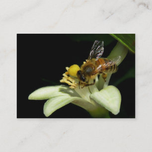 Honungbi på kort för citronblommarATC