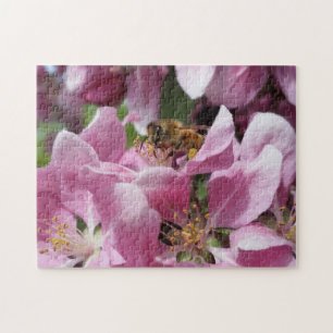 Honungbi som pollinerar den rosa Crabapple Pussel