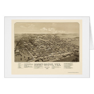 Honungdunge, panorama- karta för TX - 1886 Hälsningskort