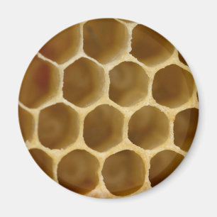 Honunghårkammagnet Magnet