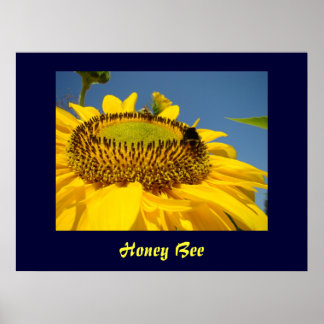 Honungsbeekonst Skriv ut Solros Garden Canvas art Poster