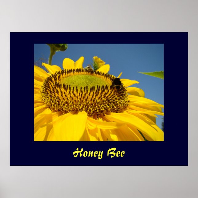 Honungsbeekonst Skriv ut Solros Garden Canvas art Poster (Framsidan)