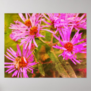 Honungsbi Aster Flower Distress Art Poster