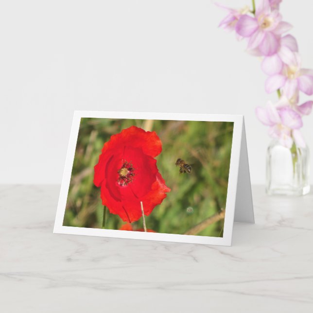 Honungsbi i Red Poppy Kort (Orkide)