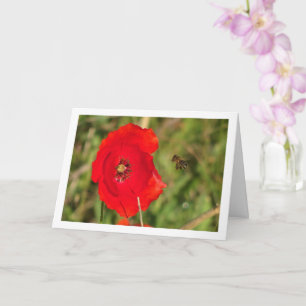 Honungsbi i Red Poppy Kort