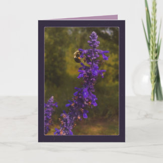 honungsbi & lavendel kort