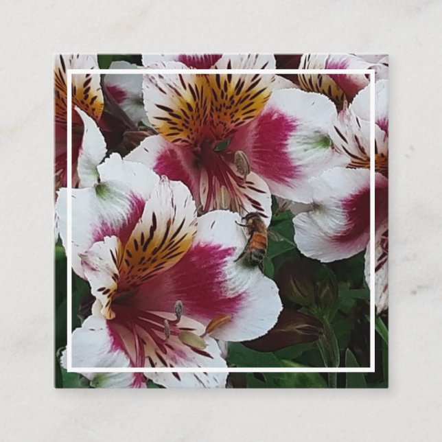 Honungsbi och Alstromerias kuvertkort Tilläggskort (Framsida)