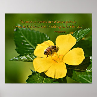 Honungsbi på blomma, Ordspråksboken 16:24 Poster
