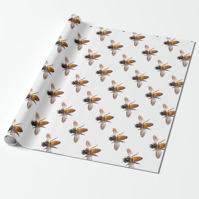 Honungsbi Presentpapper (Utrullad)