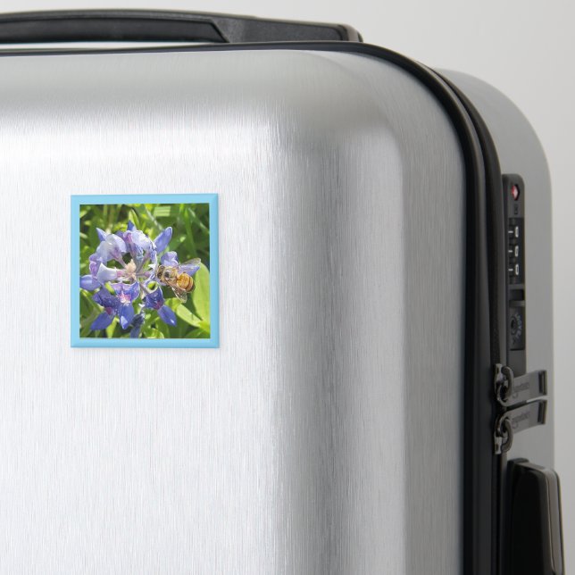 Honungsbimagnet Magnet (In Situ (Luggage))