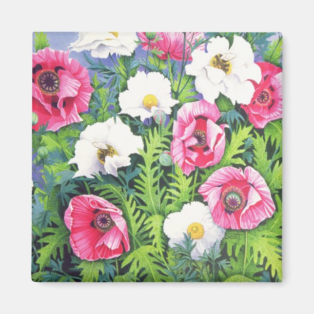 Honungsbin Honung Bee Magnet (Framsidan)