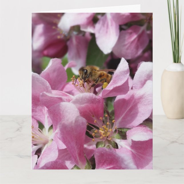 Honungsbin i Blommar med offert Kort (Framsida)