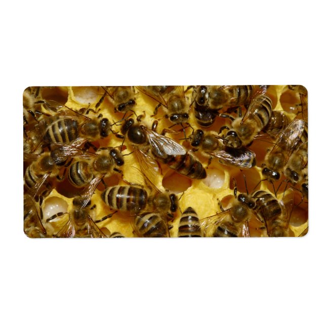 Honungsbin i Hive med drottning i Mitten Fraktsedel (Framsidan)