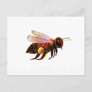 Honungsbin med pollen Basket Illustration Helg Vykort