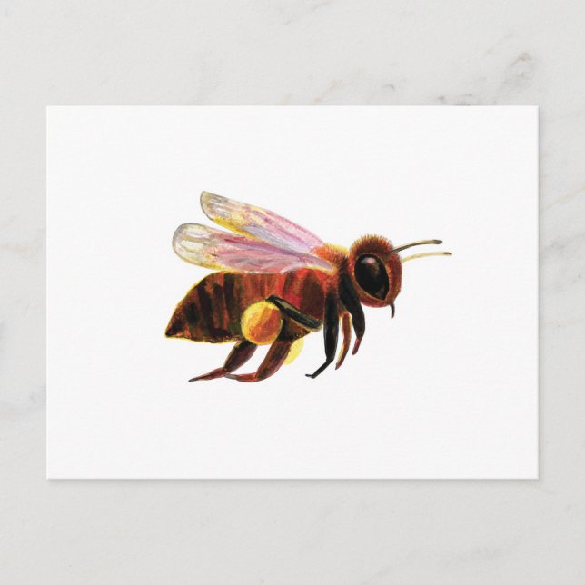Honungsbin med pollen Basket Illustration Helg Vykort (Framsida)