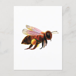 Honungsbin med pollen Basket Vykort