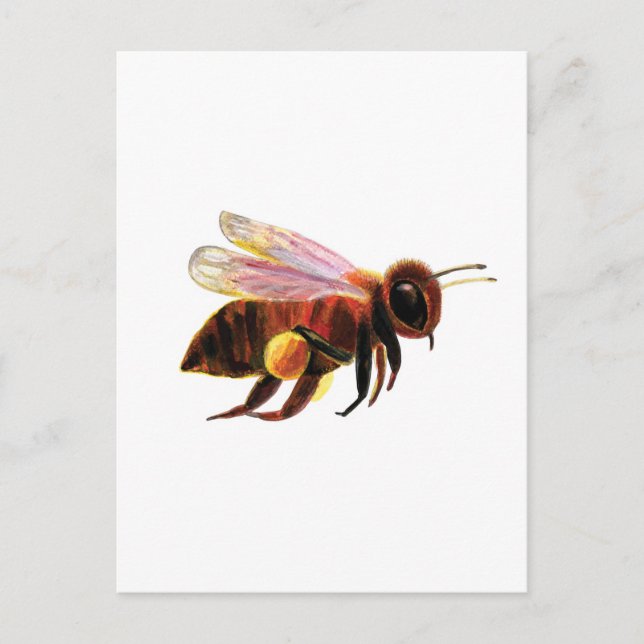 Honungsbin med pollen Basket Vykort (Framsida)